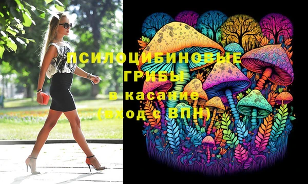 хмурый Аркадак