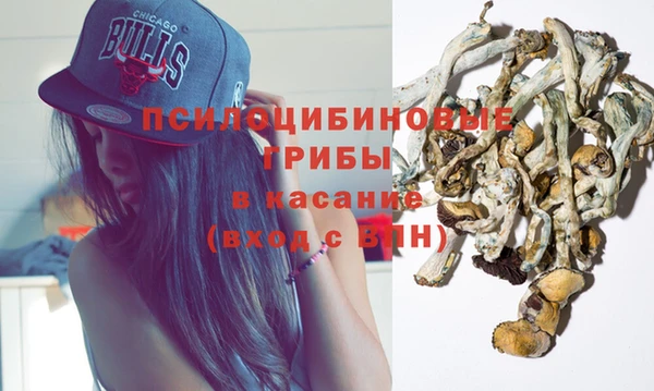 прущая мука Магас